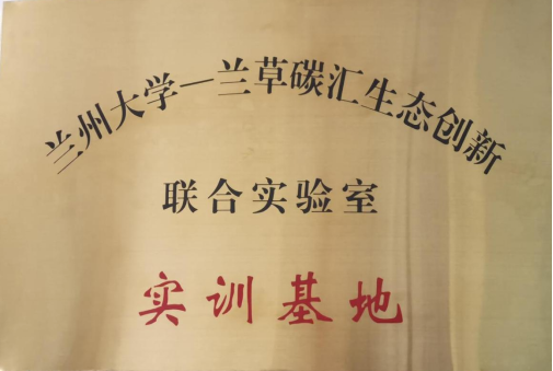 简报：学专业，提技能，专题练兵扬专长633.png